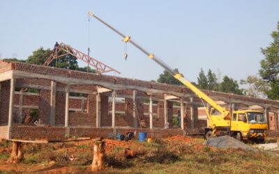 Roofing crane
